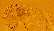 Uluru, the Brain? Australia (Northern Territory)